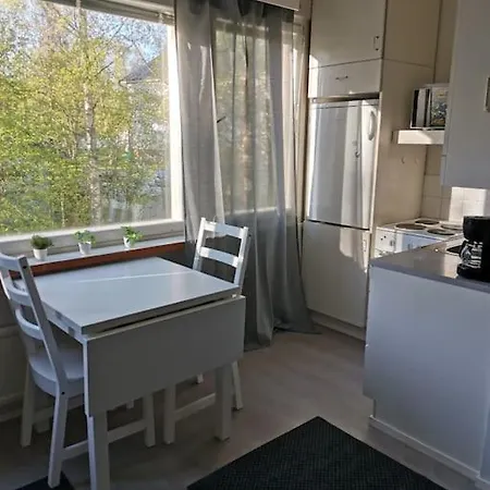Ihana Yksiö Huoneisto *